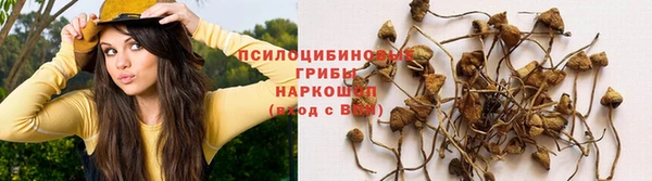 гашишное масло Карпинск