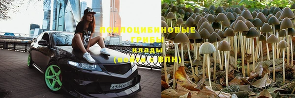 гашиш Касимов