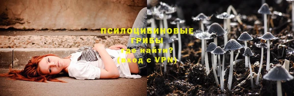 гашиш Касимов