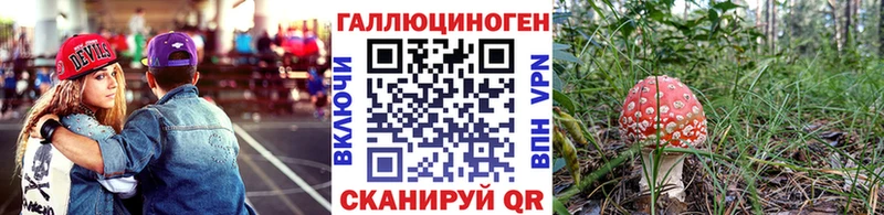 Галлюциногенные грибы прущие грибы  Купить закладки  Бородино 